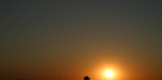 sunset on a tractor