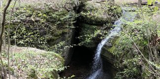 Nelson-Kennedy Ledges State Park