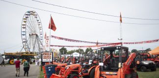 canfield fair