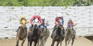 horse racing