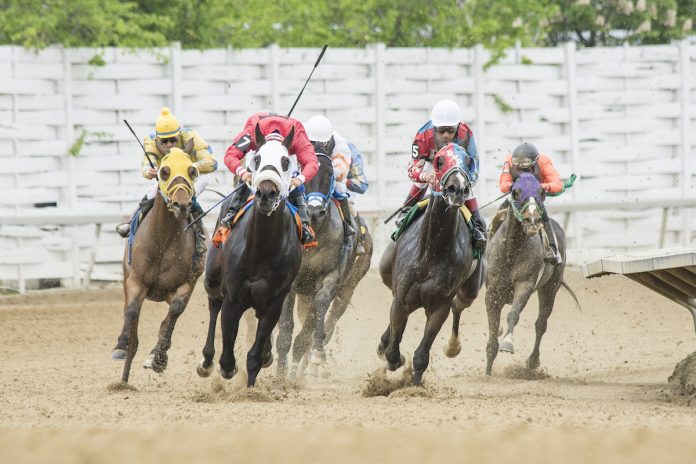 covid-19-race-horses-1 horse racing