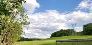 a field