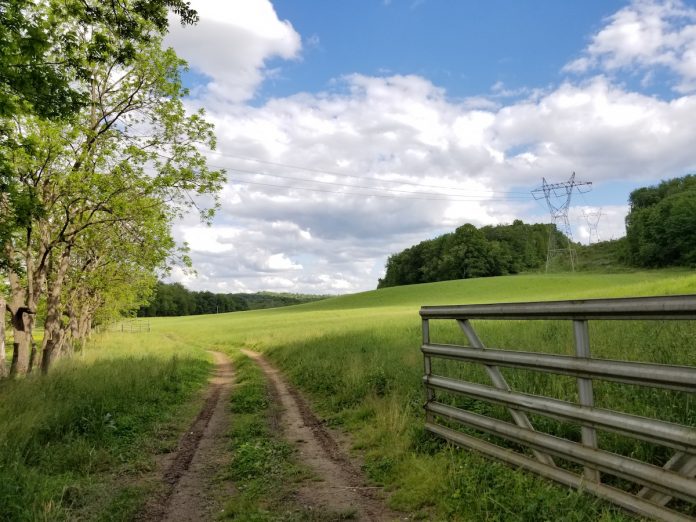a field a field