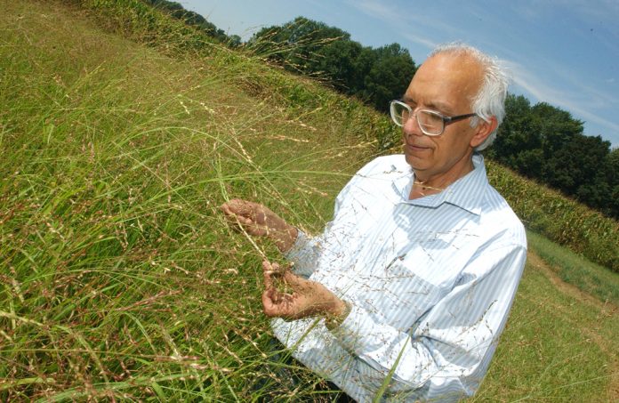 OSU,CFAES,SENR,Rattan Lal,Swaitchgrass Rattan Lal