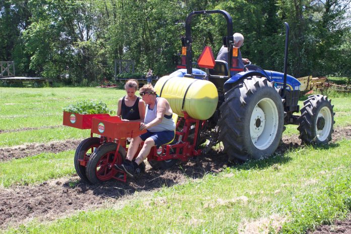hemp_plant_1 Two women sit in a vegetable planter while a man drives the tractor attached to it.