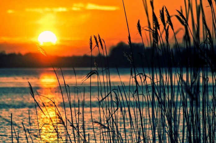 lake lake
