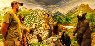 Beaver Creek Wildlife Education Center