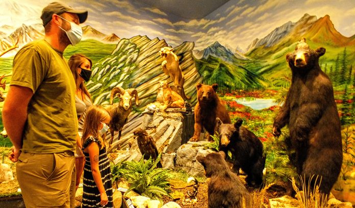 Beaver Creek Wildlife Education Center Beaver Creek Wildlife Education Center