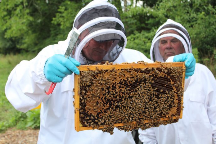 bee-bootcamp-1 men in beekeeping suits