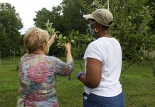 Pocketbooks and populations: Food access is about more than grocery stores Two women example an apple tree.