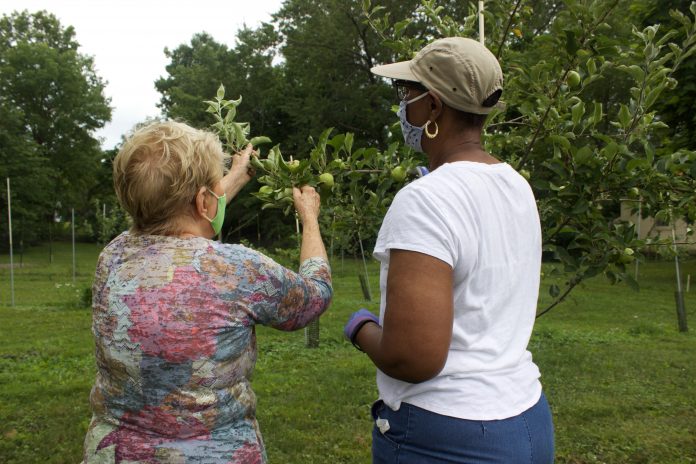 food_deserts_4 Two women example an apple tree.