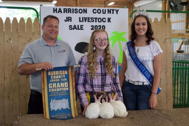 The Harrison County Fair grand champion rabbits.
