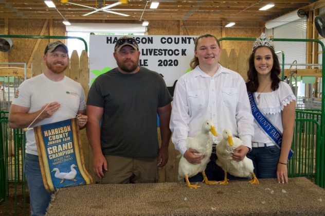 The Harrison County Fair grand champion ducks.
