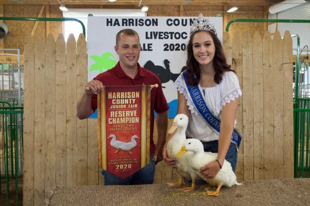 The reserve champion ducks.