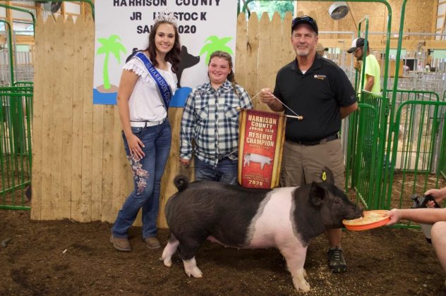 The reserve champion market hog.