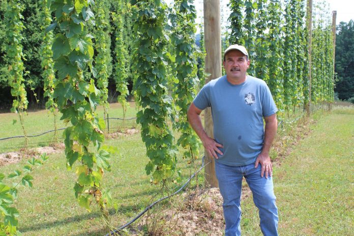 hop-open-house man stands in hopyard