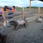 mcgraw-kids-3