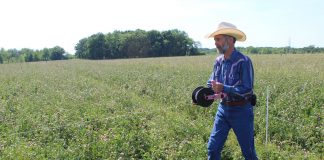 guy reeling in fence