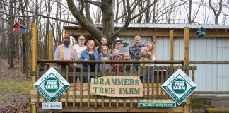 family stands on deck at tree farm
