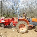 Brammer tree-farm-2