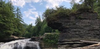 Swallow Falls State Park