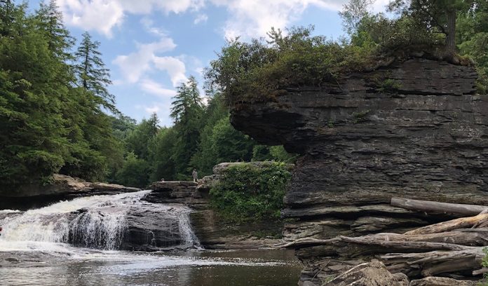 Swallow Falls State Park Swallow Falls State Park