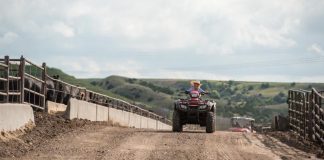 kid on a quad