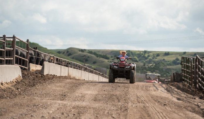 kid on a quad kid on a quad