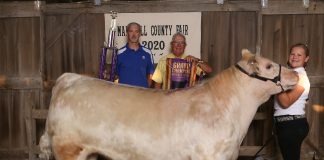 Three people stand with a cow.