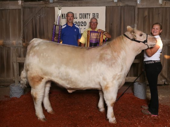 Three people stand with a cow.