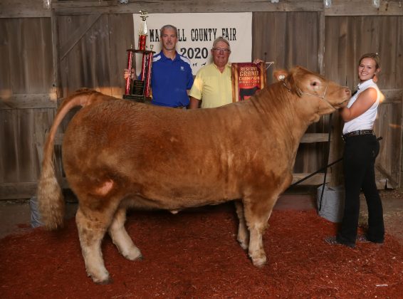 Three people stand with a cow.