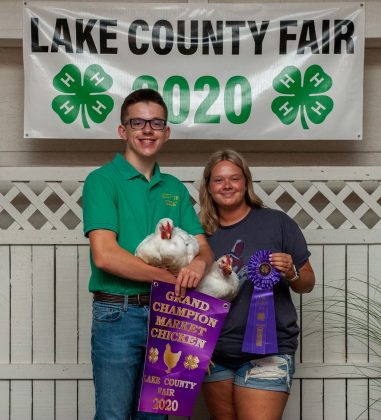 Grand Champion Chicken