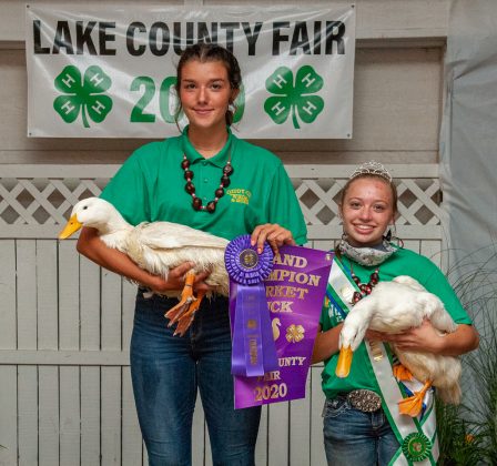 Grand Champion Ducks
