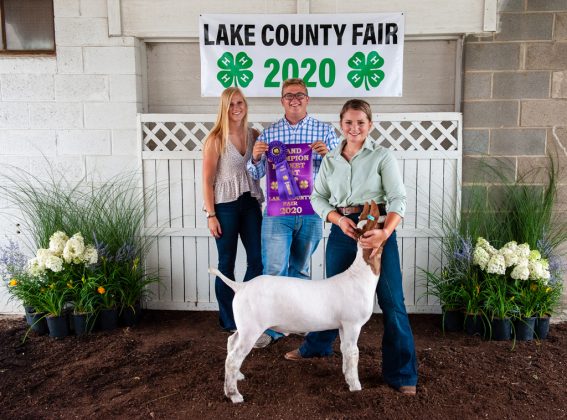 Grand Champion Goat