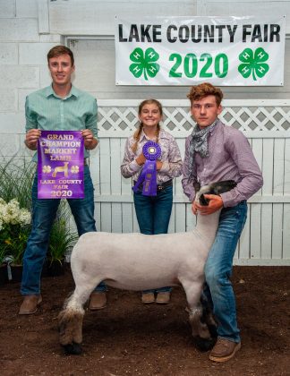Grand Champion Lamb