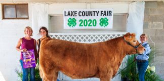 Grand Champion Market Beef