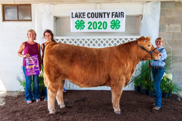 Grand Champion Market Beef