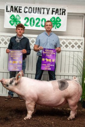 Grand Champion Market Gilt
