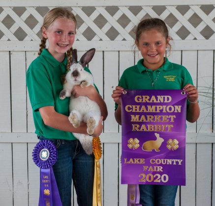Grand Champion Rabbits