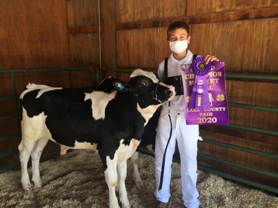 Grand Champion Market Veal