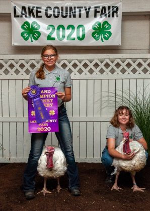 Grand Champion Turkey