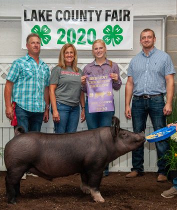 Reserve Champion Barrow