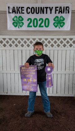 reserve Champion Carcass Goat