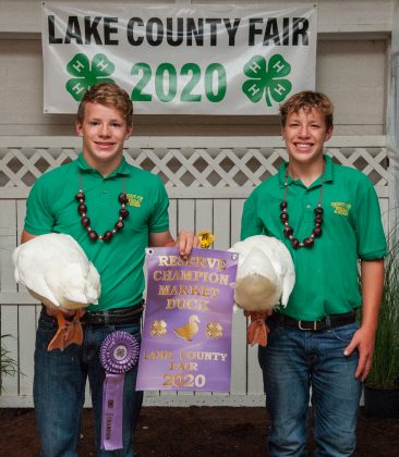 Reserve Champion Duck