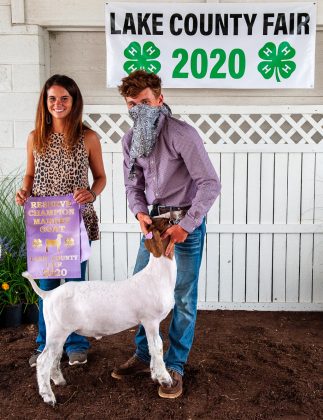 Reserve Champion Goat