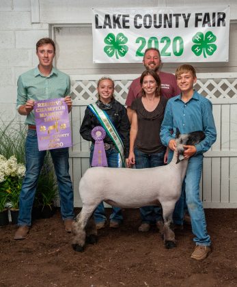 Reserve Champion Lamb