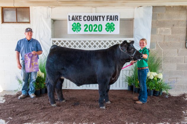 Reserve Champion Market Beef
