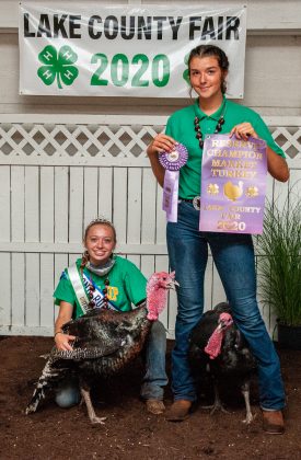Reserve Champion Turkey