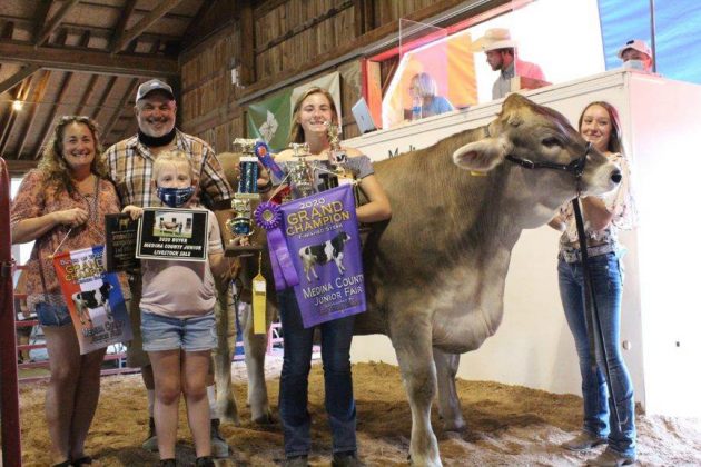 Grand Champion Dairy Beef