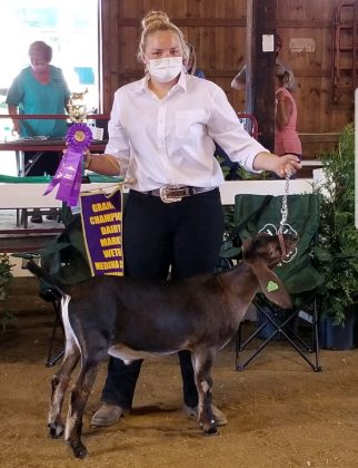 Grand Champion Dairy Goat